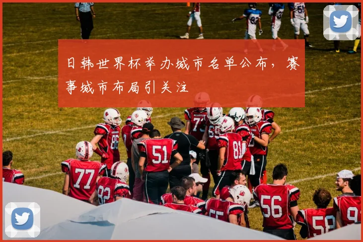 日韩世界杯举办城市名单公布，赛事城市布局引关注