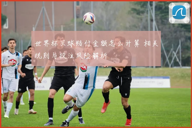 世界杯买球赔付金额怎么计算 相关规则与投注风险解析