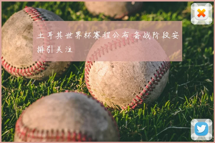 土耳其世界杯赛程公布 备战阶段安排引关注