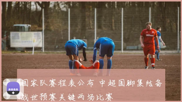 国家队赛程表公布 中超国脚集结备战世预赛关键两场比赛