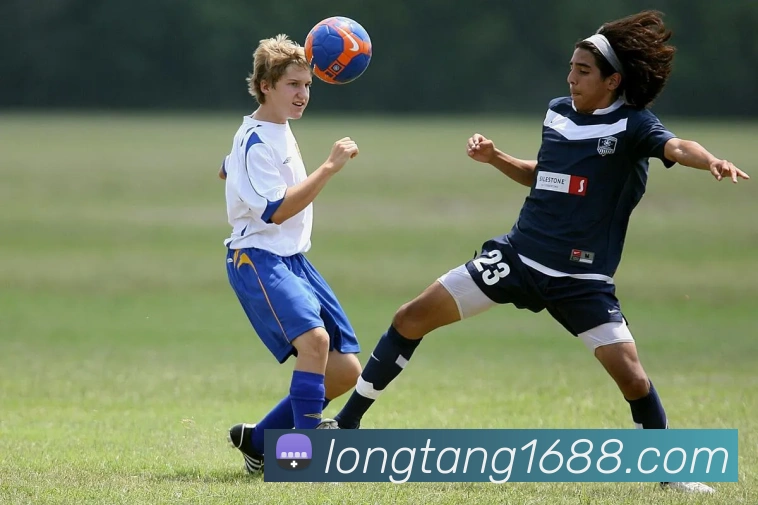 必一运动体育官网服务体系